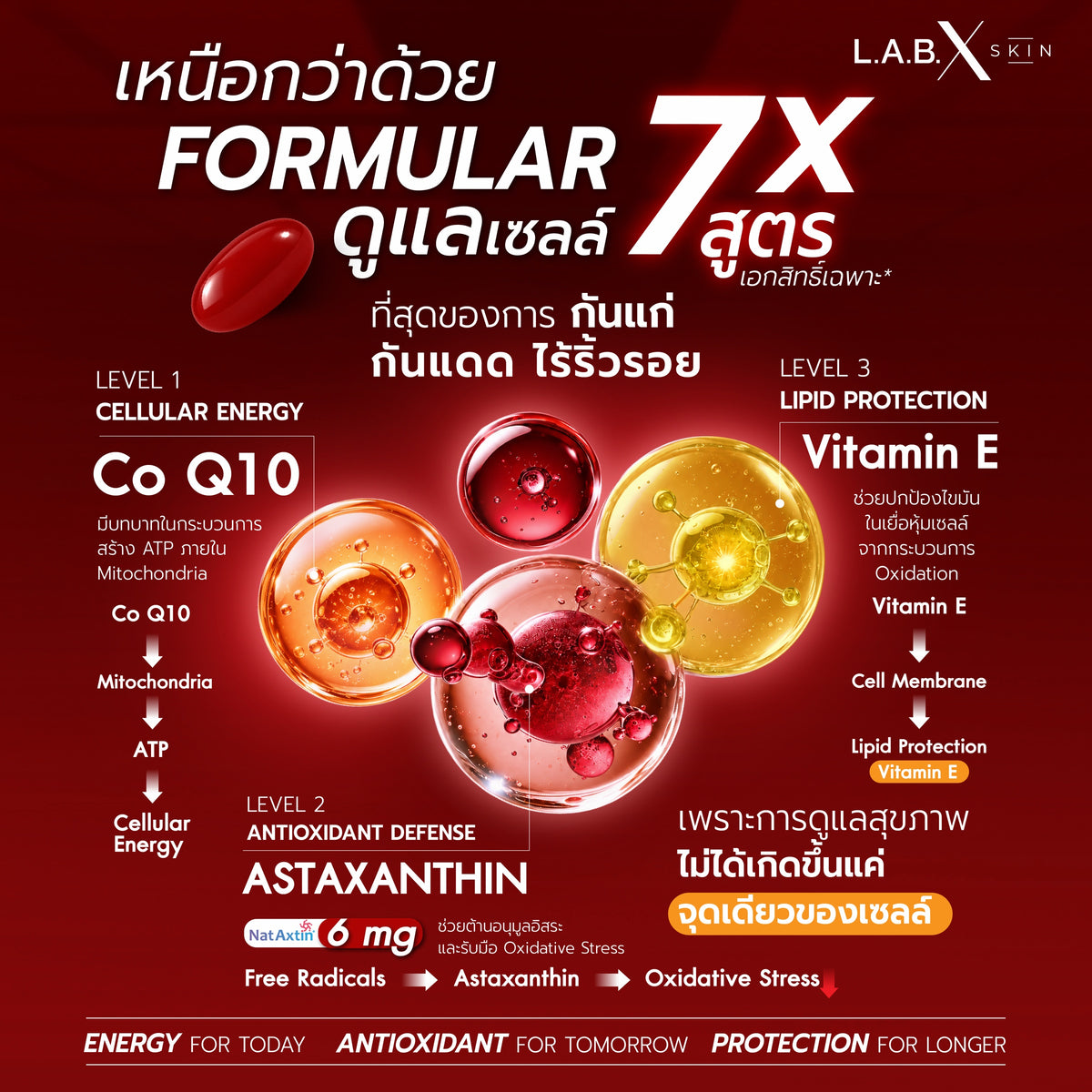 ASTAXANTHIN MAX ข้อมูลสินค้า 1