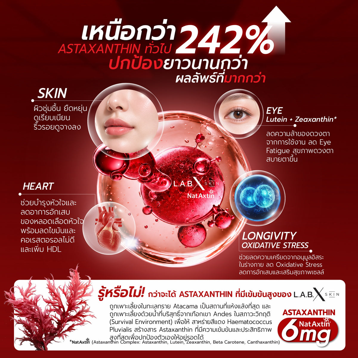 ASTAXANTHIN MAX ข้อมูลสินค้า 2