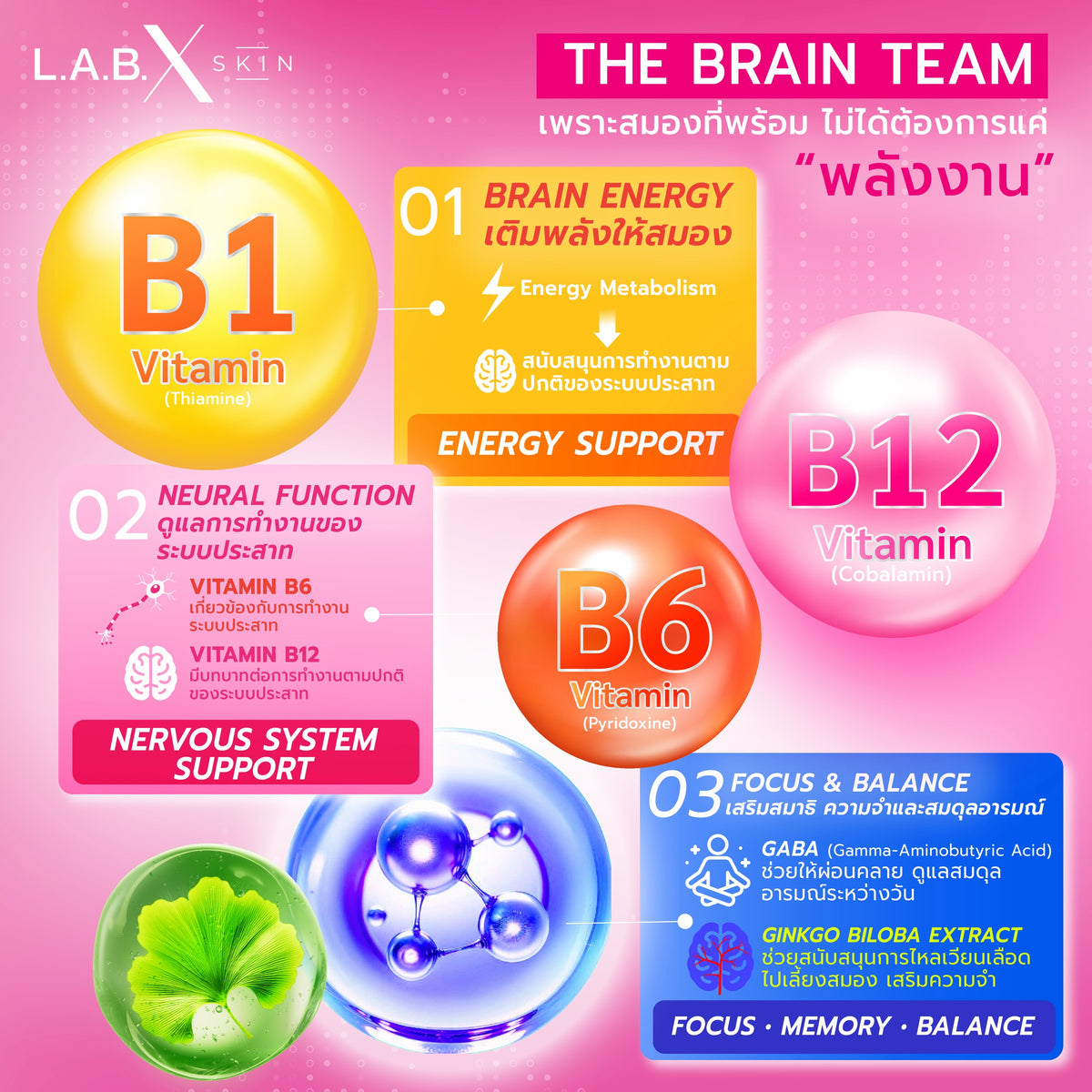 FOCUS BIO B1+6+12 PLUS ข้อมูลสินค้า 2