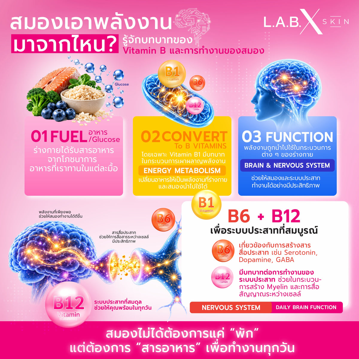 FOCUS BIO B1+6+12 PLUS ข้อมูลสินค้า 3