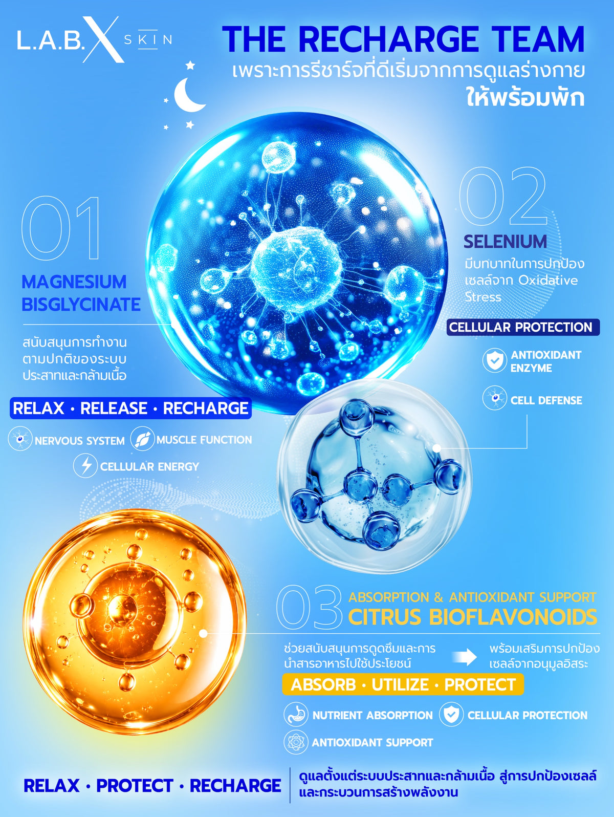 BIO MAGNESIUM BISGLYCINATE + SELENIUM ข้อมูลสินค้า 1