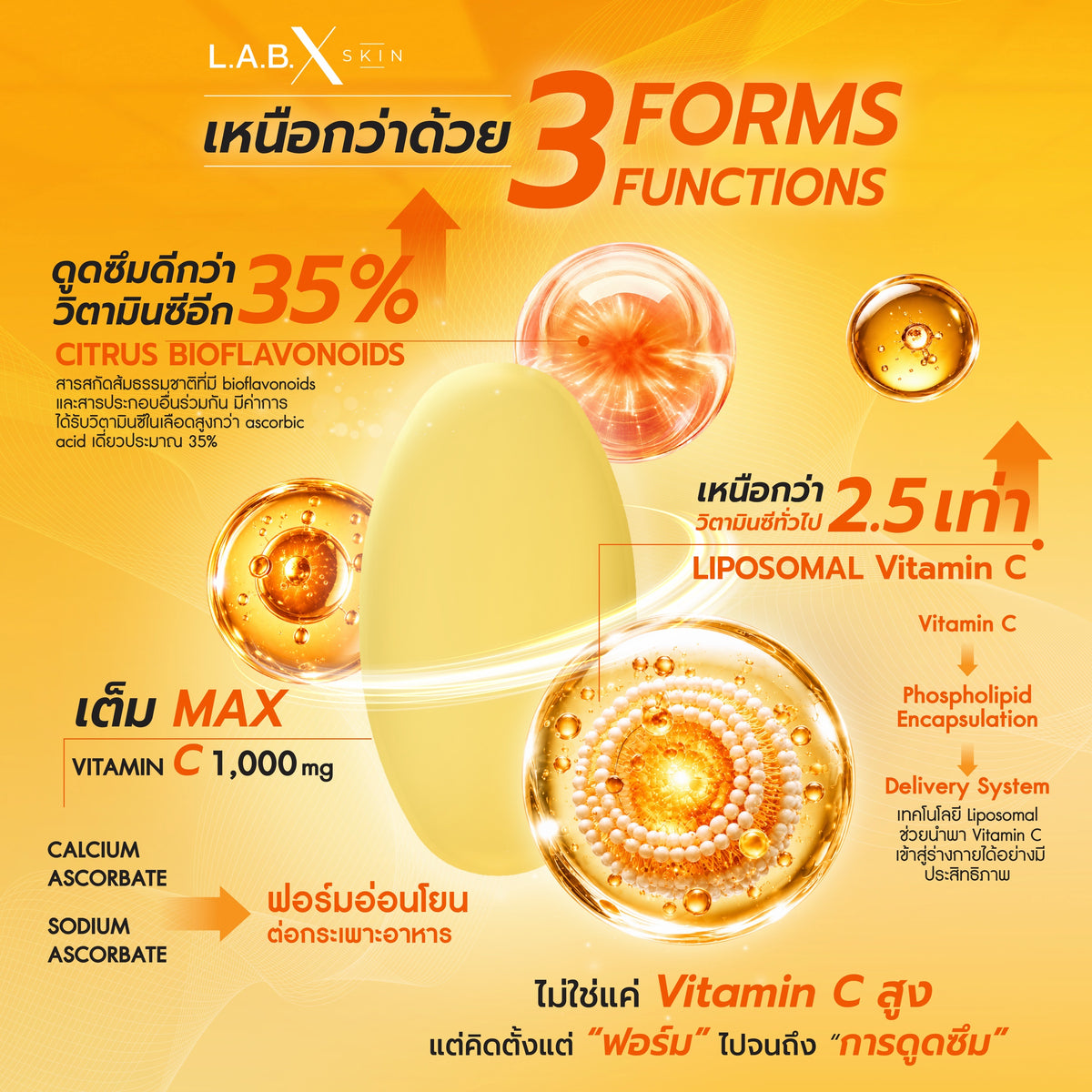BIO LIPOSOMAL VITAMIN C ข้อมูลสินค้า 2