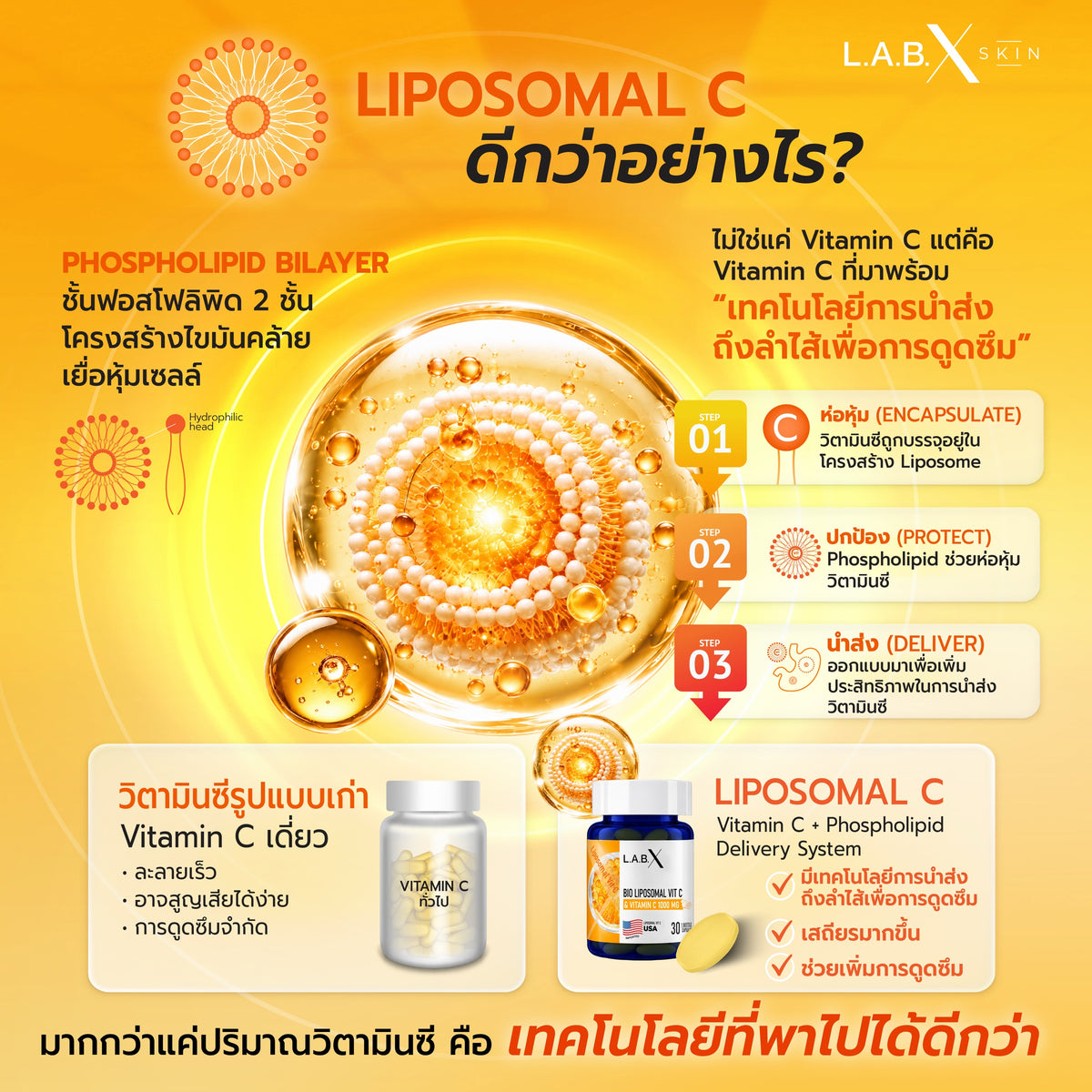 BIO LIPOSOMAL VITAMIN C ข้อมูลสินค้า 3