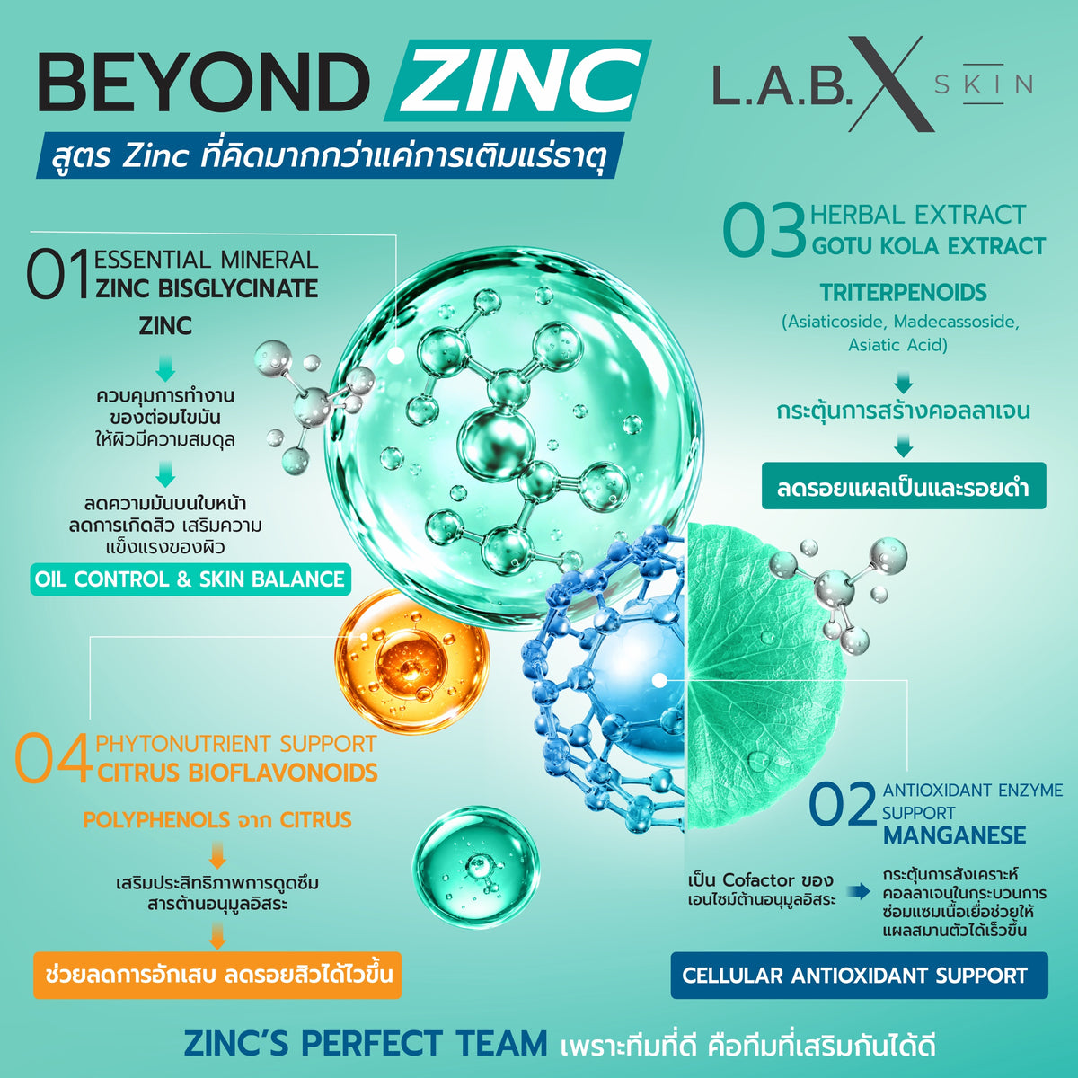 BIO ZINC BISGLYCINATE + MANGANESE ข้อมูลสินค้า 2