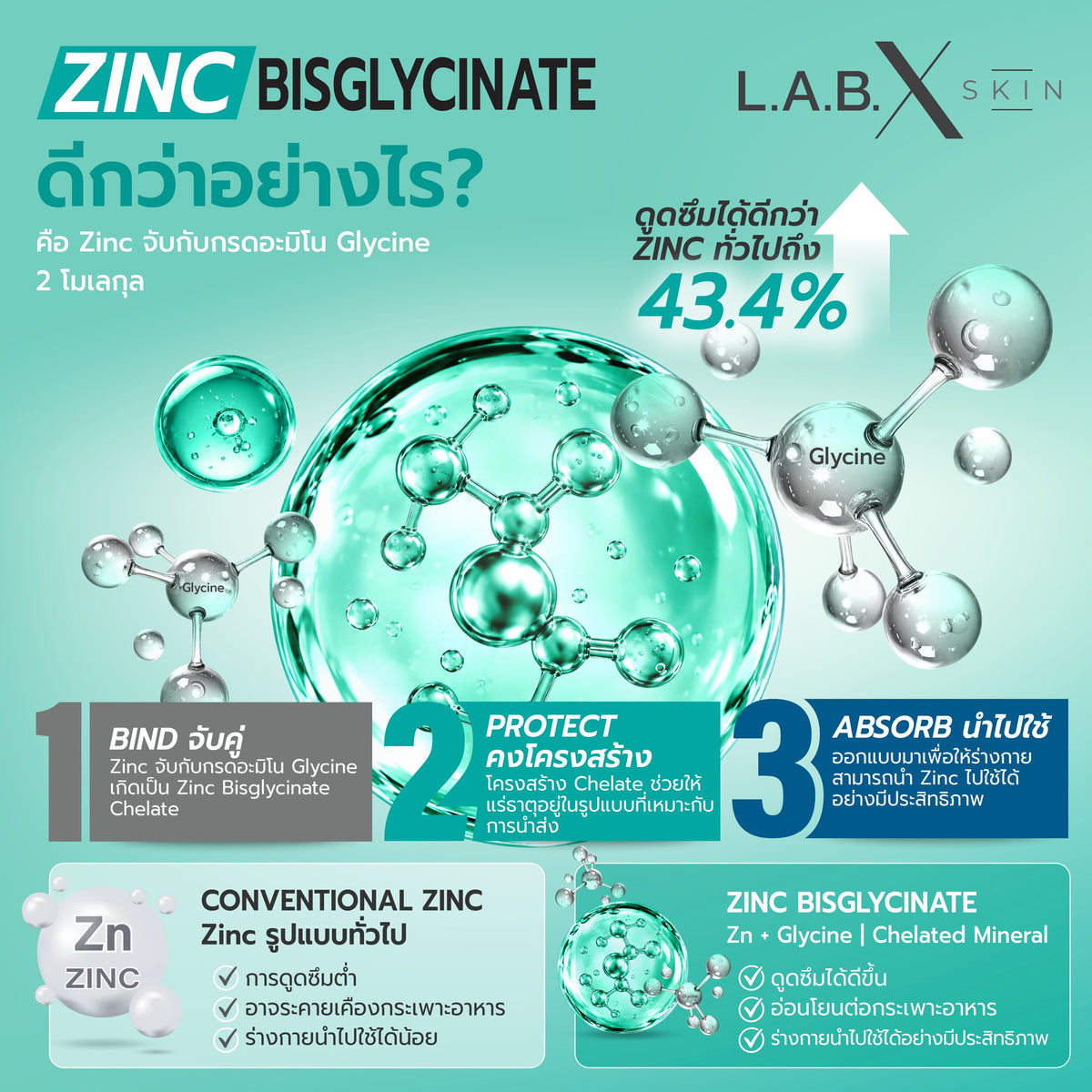 BIO ZINC BISGLYCINATE + MANGANESE ข้อมูลสินค้า 3